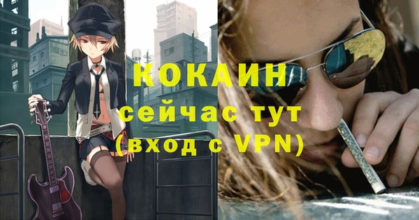 apvp Армянск