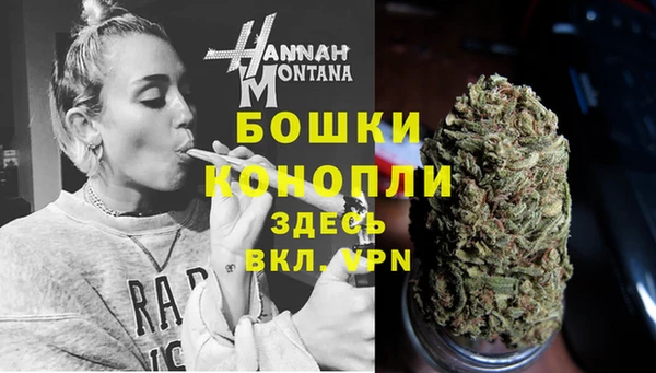 сатива Нефтекумск