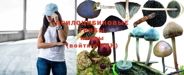 apvp Армянск